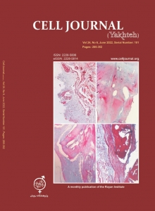 افزایش ضریب تأثیر نشریه علمی Cell Journal وابسته به پژوهشگاه رویان جهاد دانشگاهی